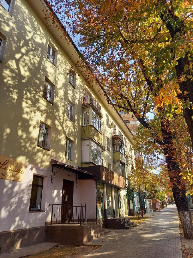 "В Центре Города" Квартира - "Downtown" Apartment 阿拉木图 外观 照片